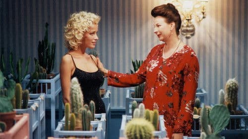 Tout doit disparaître Bild 4