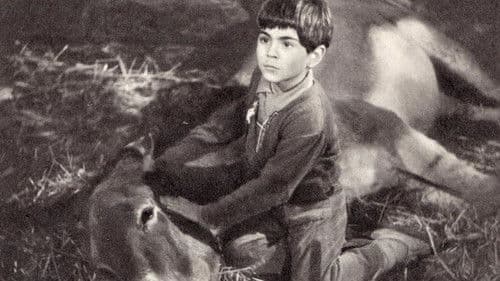 The Small Miracle Bild 1