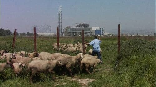 Biùtiful Cauntri Bild 3