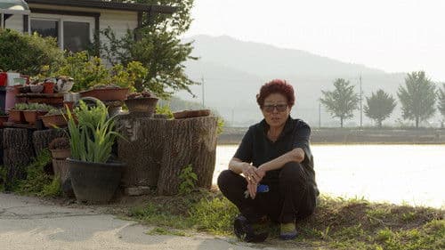 열 개의 우물 Bild 1