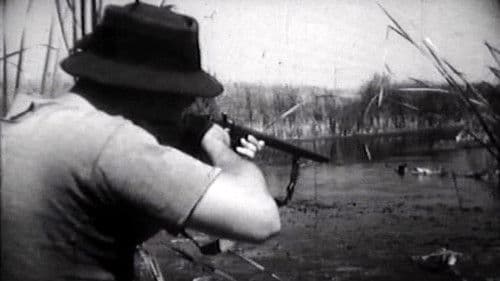 Let nad močvarom Bild 1