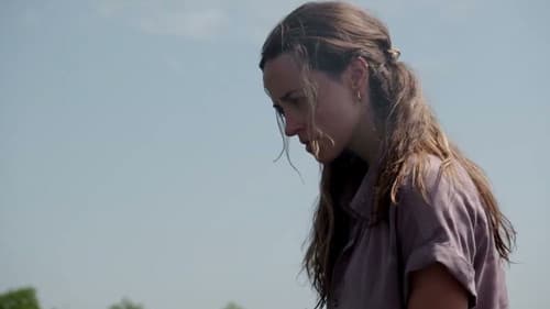 Lone Star Shark Bild 1