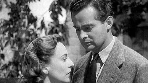 The Quiet Woman Bild 1