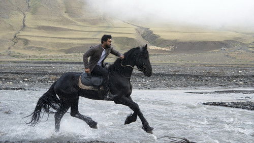 వినయ విధేయ రామ Bild 4