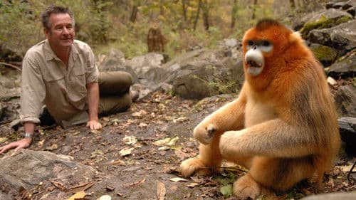 Untamed China Bild 1