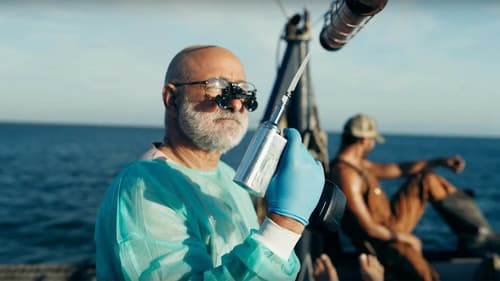 Flycatcher - Survival has its Price Bild 7