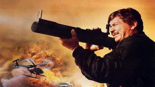 Der Mordanschlag Bild 5