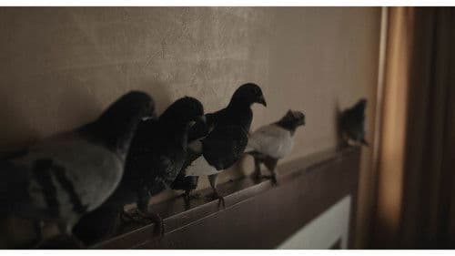 Hotel de nidos Bild 1