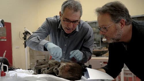 Tim und Struppi und der Fluch der Mumie Bild 3