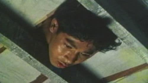 Scorpio Nights Bild 1