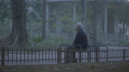 Anjos das Marquises Bild 1