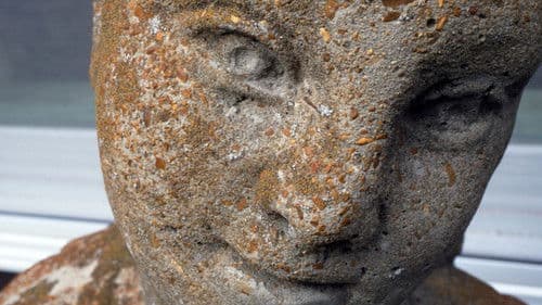 Her Socialist Smile Bild 2