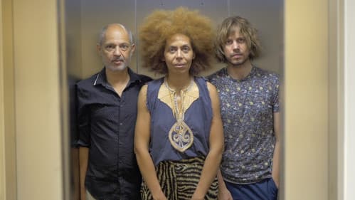 The Trees Were Spelling Love Backwards Bild 1