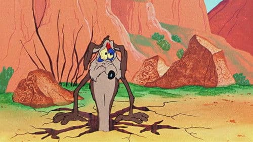 Road Runners Beep-Show Bild 1