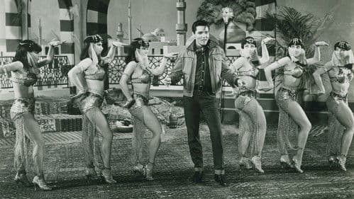 König der heißen Rhythmen Bild 3