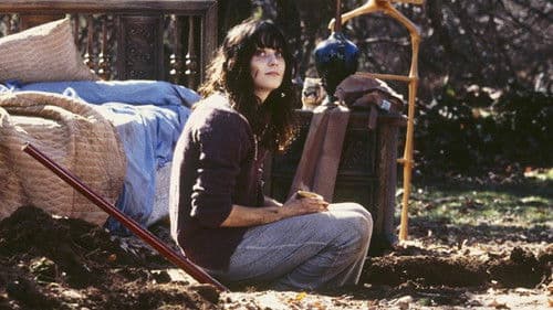 Ein Winter in Michigan Bild 6