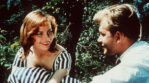 Schicksal am Lenkrad Bild 1