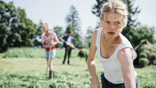 Die Kraft des Windes Bild 2