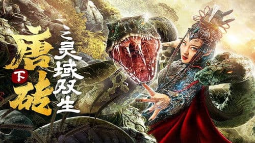 唐砖下之灵域双生 Bild 1