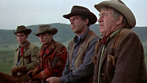 Schieß oder stirb! Bild 5