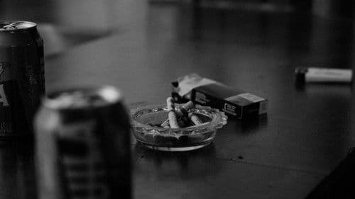 ¿Crees en los milagros? Bild 2