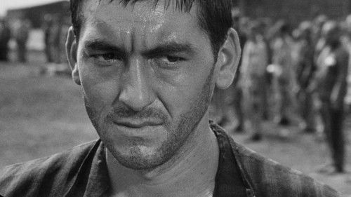 Der Boxer und der Tod Bild 4