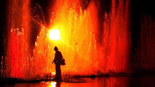 Für den unbekannten Hund Bild 2