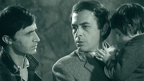 Rrugicat që kërkonin diell Bild 1