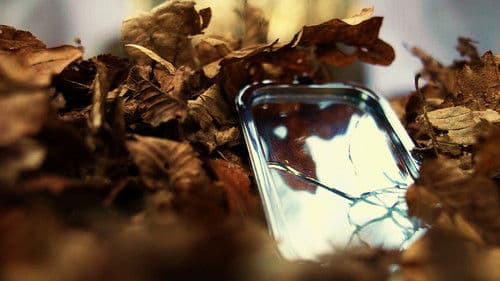 Where the Ravens Fly Bild 2