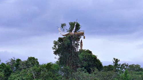 Aguirre, der Zorn Gottes Bild 6