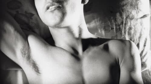 Liebessehnsucht Bild 4