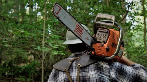 Leap of Faith Bild 2