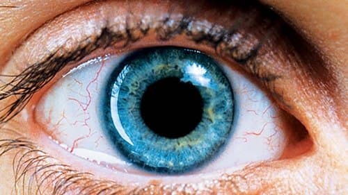 Requiem for a Dream Bild 1