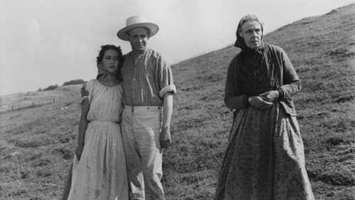 Naar Bønder elsker Bild 4