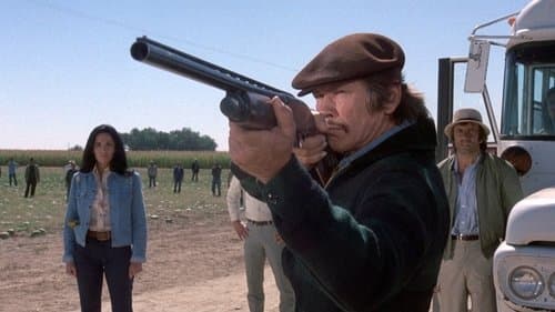 Das Gesetz bin ich Bild 2