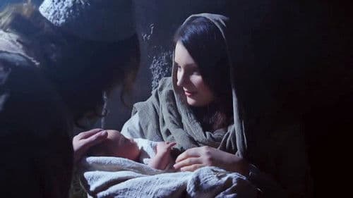 No Ordinary Shepherd Bild 6