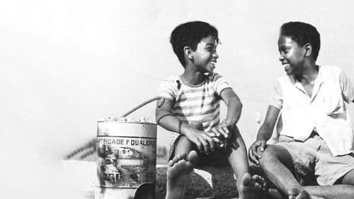 Rio, 40 Graus Bild 2