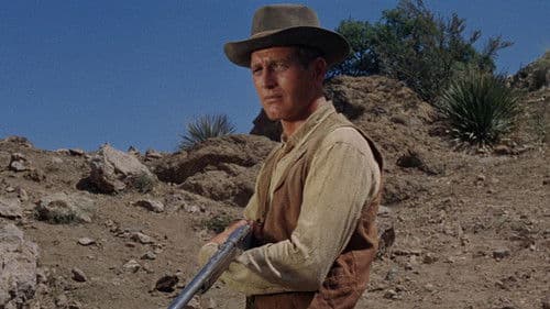 Man nannte ihn Hombre Bild 7