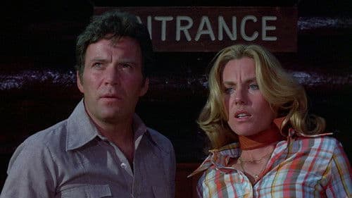 Mörderspinnen Bild 7