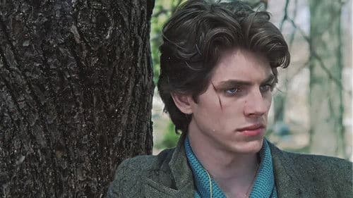 König der Zigeuner Bild 7