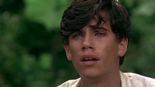 Ode to Billy Joe Bild 7