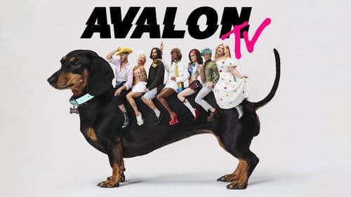 Avalon TV Bild 3