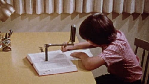 Dictionary: The Adventure of Words Bild 1