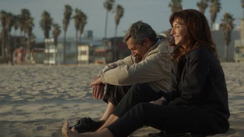 Brahmin Bulls Bild 1