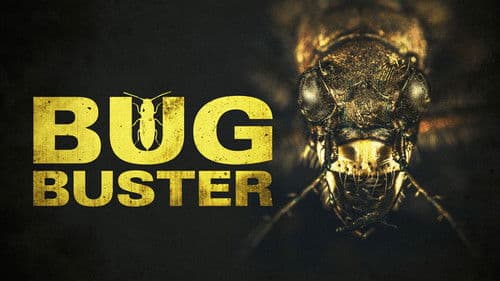 Bug Buster Bild 7