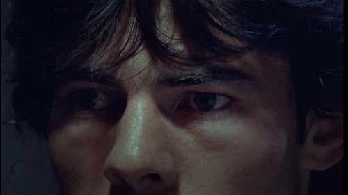 Adiós Muchachos Bild 1