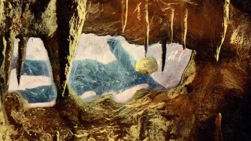 Frankensteins Ungeheuer Bild 7