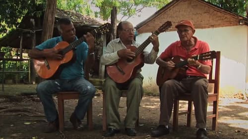 La Memoria es un Caracol Bild 4