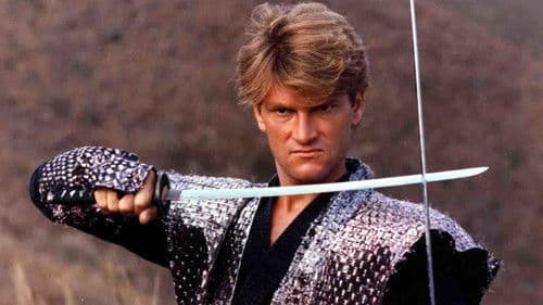 Cobra Against Ninja Bild 2