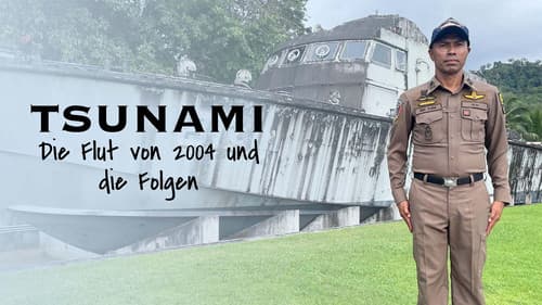 Tsunami - Die Flut von 2004 und die Folgen Bild 2